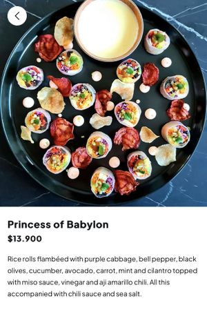 Vegan option  at Bidasoa Restaurant at Hotel Bidasoa in Santiago