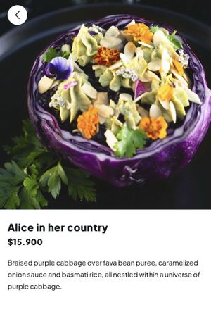 Vegan option  at Bidasoa Restaurant at Hotel Bidasoa in Santiago