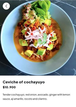 Vegan option  at Bidasoa Restaurant at Hotel Bidasoa in Santiago