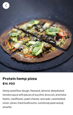 Vegan option  at Bidasoa Restaurant at Hotel Bidasoa in Santiago