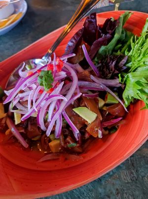 Ceviche de cochayuyo at Bidasoa Restaurant at Hotel Bidasoa in Santiago