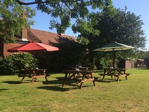 our garden at Matthews Hall Cafe in Topsham