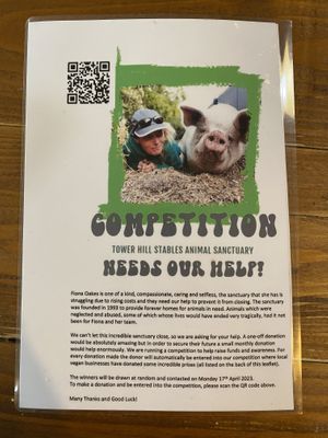 Competition in aid of Tower Hill Stables Animal Sanctuary  at Vegano in Newcastle Upon Tyne