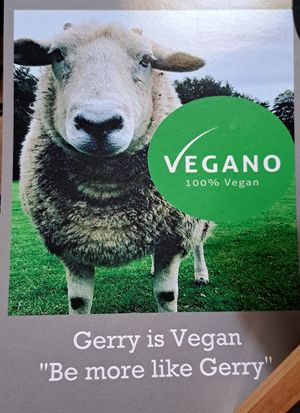  at Vegano in Newcastle Upon Tyne