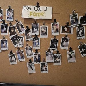  at Focus Foodbar in Tilburg