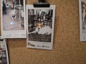  at Focus Foodbar in Tilburg