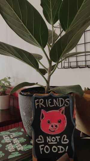 ❤️  at Focus Foodbar in Tilburg