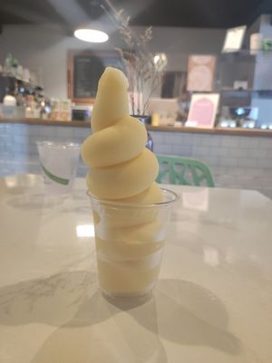 Tropical ice cream (6,15$) at Pastel & Coco in Gatineau