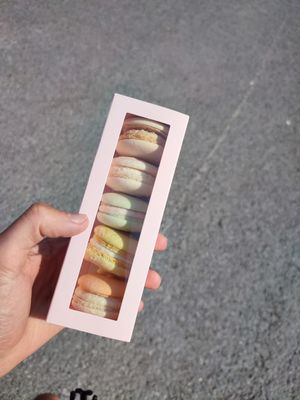  at Pastel & Coco in Gatineau