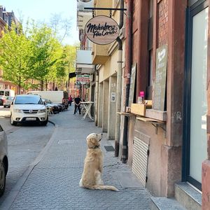 Mahalo Poke Corner - from its facebook at Mahalo Poke Corner in Mannheim