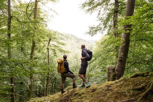 The dramatic nature in Söderåsens nationalpark that surrounds Villa Söderåsen B&B at Villa Söderåsen in Rostanga
