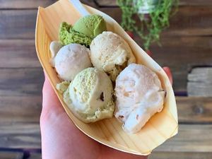 Try Pistacio and cookie butter! at Plant+Love Ice Cream in St Petersburg