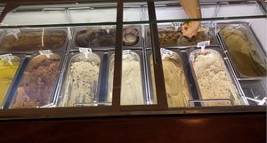 Options! at Plant+Love Ice Cream in St Petersburg