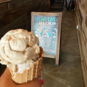   at Plant+Love Ice Cream in St Petersburg