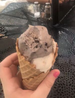   at Plant+Love Ice Cream in St Petersburg