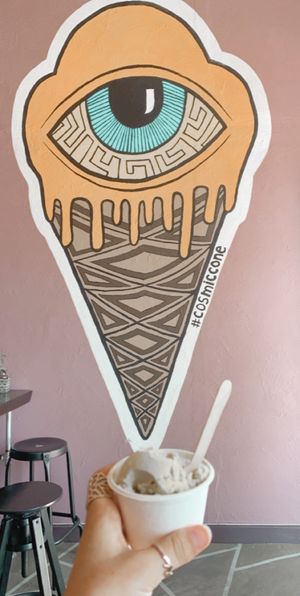 Two scoop! at Plant+Love Ice Cream in St Petersburg