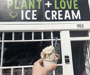 Vegan Cookie Chunk and Cookies n Cream ice cream  at Plant+Love Ice Cream in St Petersburg