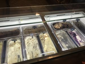 Flavors  at Plant+Love Ice Cream in St Petersburg