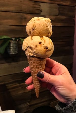 Pumpkin ice cream with gluten free waffle cone at Plant+Love Ice Cream in St Petersburg
