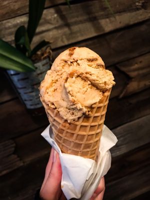 Pumpkin ice cream with a non gluten friendly waffle cone at Plant+Love Ice Cream in St Petersburg