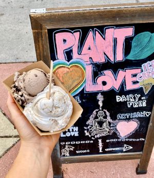 the best ice cream in the world, hands down! i love this place & their coconut milk based ice cream. here is a picture of my scoop of cookies n cream & samoa 🌿🧡 at Plant+Love Ice Cream in St Petersburg