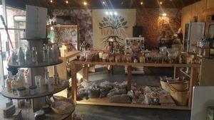 Inside at Roots in Tijuana