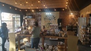 Inside at Roots in Tijuana