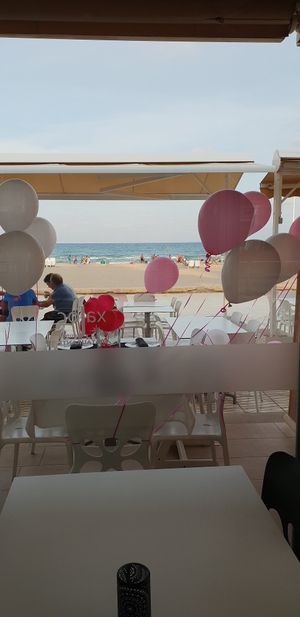 Para cumpleaños veganos at Xaloc Lounge in Alicante