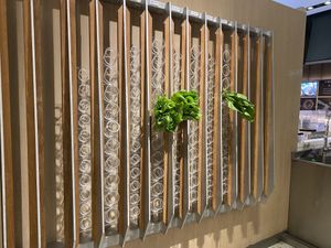 Greens on a wall  at Vege Creek 蔬河 - Shin Kong Mitsukoshi Xinyi in Taipei