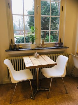 Park view at FLOW café in Antwerpen