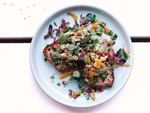 AVOCADO ON TOAST
Avocado on toasted sourdough with watercress,
pesto dressing, pomegranate, pickled turmeric
mooli, chilli flakes & micro basil. Option to
swap for GF toast at WAVE in East London