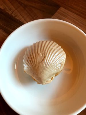 Madeleine Shell Cookie at WAVE in East London
