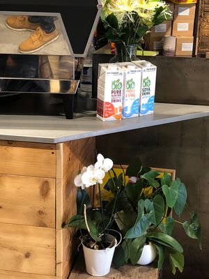 Milk alternatives at Torrefazione Cannaregio in Venice