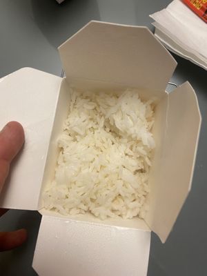 Rice  at Spicy Moon - 6th St in New York City