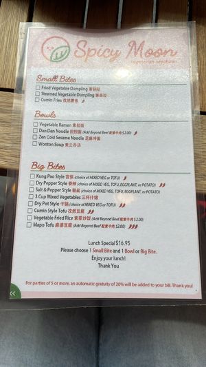 Lunch deal options   at Spicy Moon - 6th St in New York City
