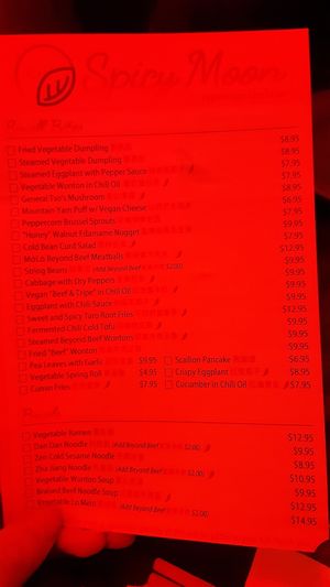Menu at Spicy Moon - 6th St in New York City