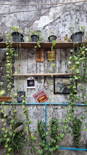  at Burgershack in Kampot