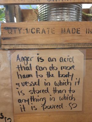 Good advice at Rafter & Rose in Ipswich