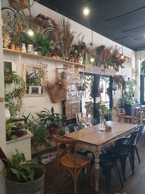 Look at this place 🥰 at Rafter & Rose in Ipswich