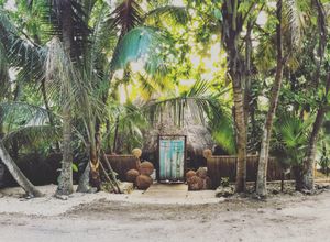 entrance in the daytime.... at Vespertina in Tulum
