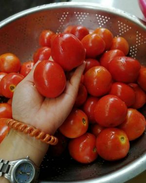 Fresh from the market at Sababa in Chiang Mai