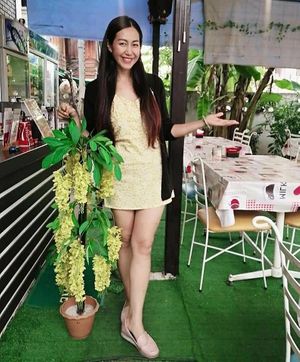 Sababa Hummus Chiang Mai at Sababa in Chiang Mai