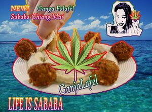 NEW IN SABABA CHIANG MAI 
Falafel with Ganja.
*Government license allows only for dine in at Sababa in Chiang Mai