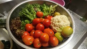 Thank you @pimrada3659 for the stunning and beautiful photos.

#LifeIsSababa #SababaCM #ChefJEAB #PimPimNaRak at Sababa in Chiang Mai