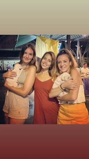 Sababa chiang mai at Sababa in Chiang Mai