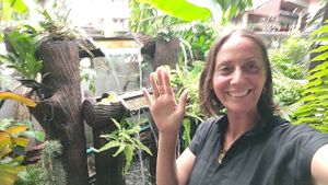 Sababa at Sababa in Chiang Mai