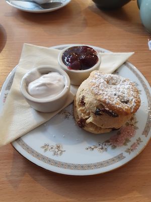 vegan cream tea  at Twisted Currant in Helston