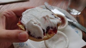 Vegan Cream Tea - Homemade plain scones with jam and coconut cream. at Twisted Currant in Helston