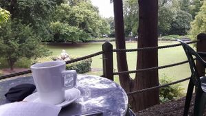 Hollyhock Cafe at Hollyhock Cafe in Richmond Upon Thames