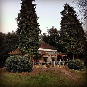 Outside  at Hollyhock Cafe in Richmond Upon Thames